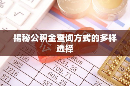 乐安揭秘公积金查询方式的多样选择