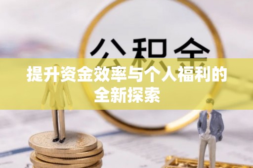 乐安提升资金效率与个人福利的全新探索