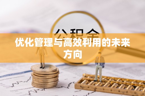 乐安优化管理与高效利用的未来方向
