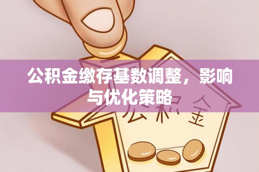 乐安公积金缴存基数调整，影响与优化策略