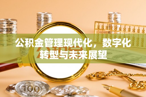 乐安公积金管理现代化，数字化转型与未来展望