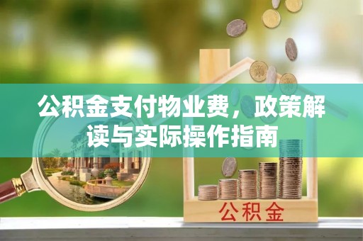 乐安公积金支付物业费，政策解读与实际操作指南