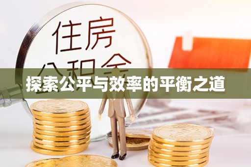 乐安探索公平与效率的平衡之道