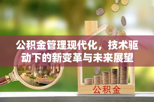 乐安公积金管理现代化，技术驱动下的新变革与未来展望