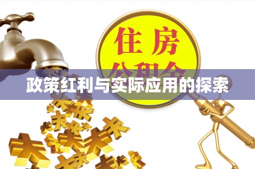 乐安政策红利与实际应用的探索