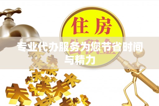 乐安专业代办服务为您节省时间与精力