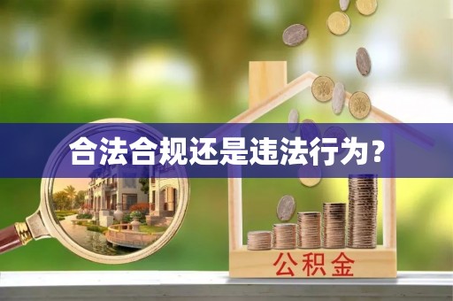 乐安合法合规还是违法行为？