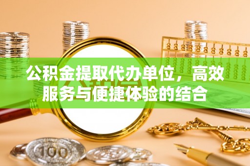 乐安公积金提取代办单位，高效服务与便捷体验的结合