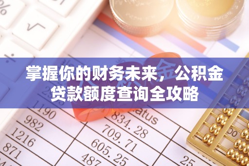 乐安掌握你的财务未来，公积金贷款额度查询全攻略