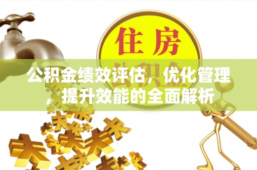 乐安公积金绩效评估，优化管理，提升效能的全面解析
