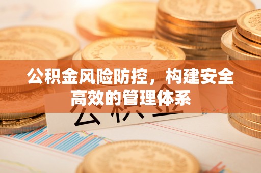 乐安公积金风险防控，构建安全高效的管理体系