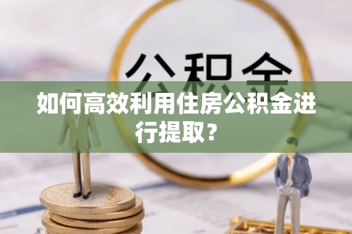 乐安如何高效利用住房公积金进行提取？