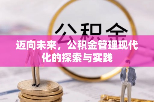 乐安迈向未来，公积金管理现代化的探索与实践