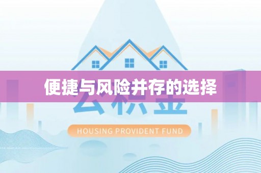 乐安便捷与风险并存的选择