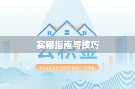 乐安实用指南与技巧
