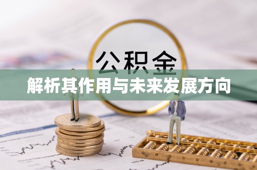 乐安解析其作用与未来发展方向