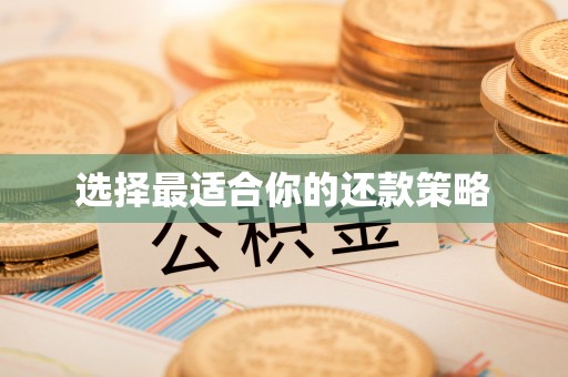 乐安选择最适合你的还款策略