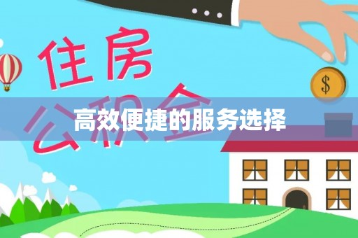 乐安高效便捷的服务选择