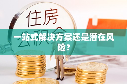 乐安一站式解决方案还是潜在风险？