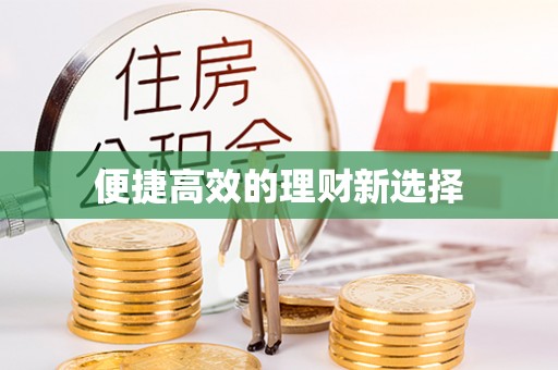 乐安便捷高效的理财新选择
