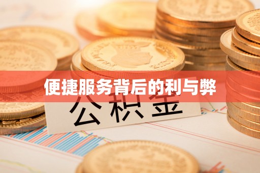 乐安便捷服务背后的利与弊