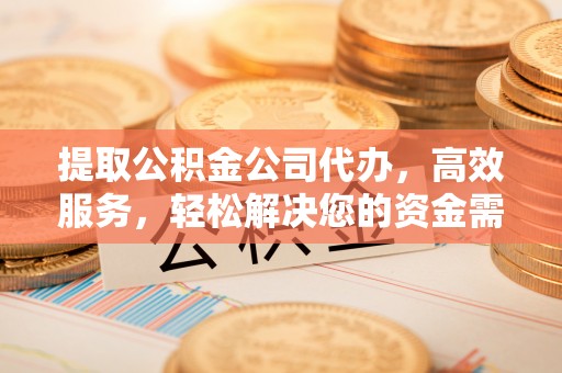 乐安提取公积金公司代办，高效服务，轻松解决您的资金需求
