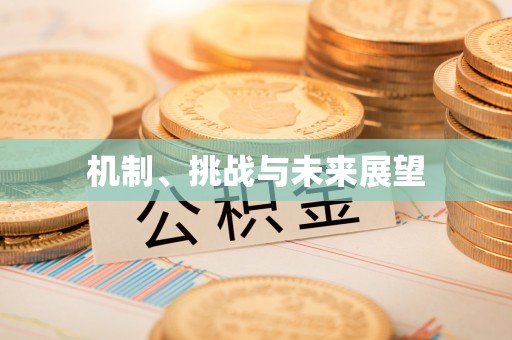 乐安机制、挑战与未来展望